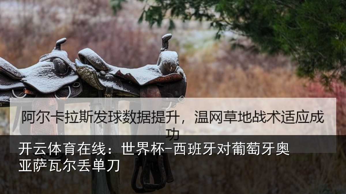 开云体育在线：世界杯-西班牙对葡萄牙奥亚萨瓦尔丢单刀