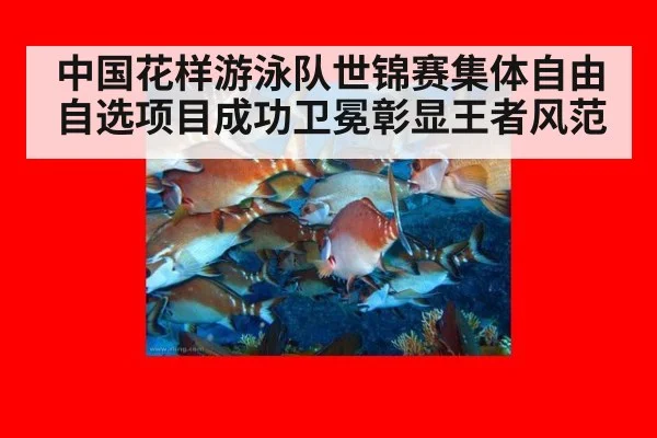 中国花样游泳队世锦赛集体自由自选项目成功卫冕彰显王者风范