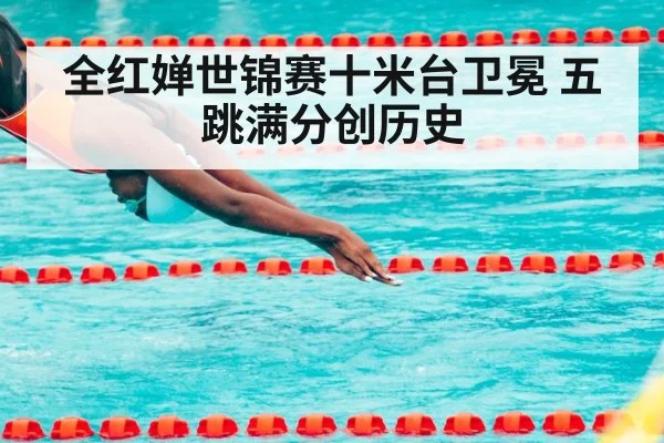 全红婵世锦赛十米台卫冕 五跳满分创历史